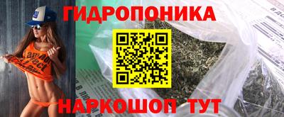 крисы Ипатово