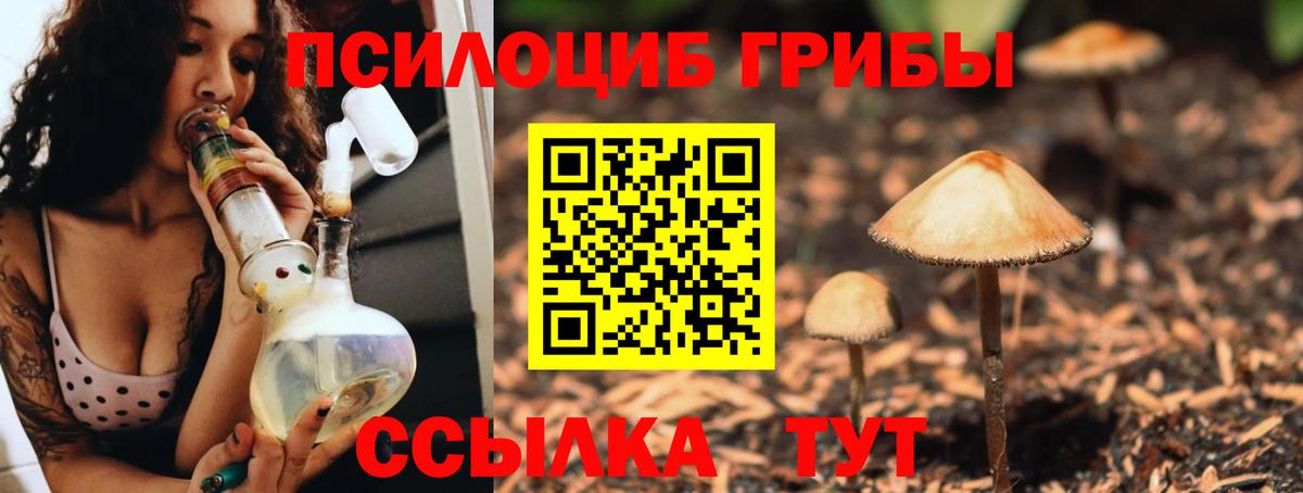 Котельники  Галлюциногенные грибы мицелий  Вход с VPN 